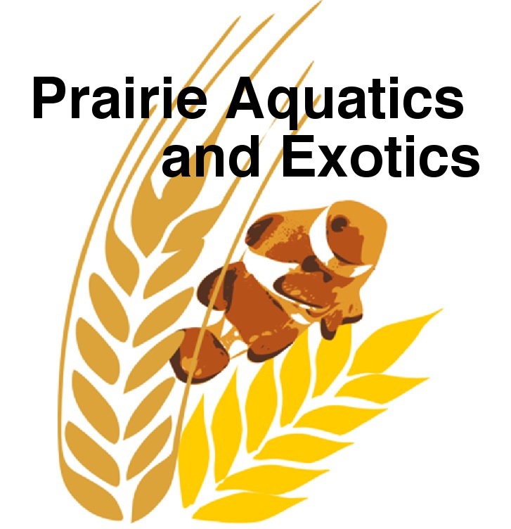 Prairie Aquatics & Exotics logo