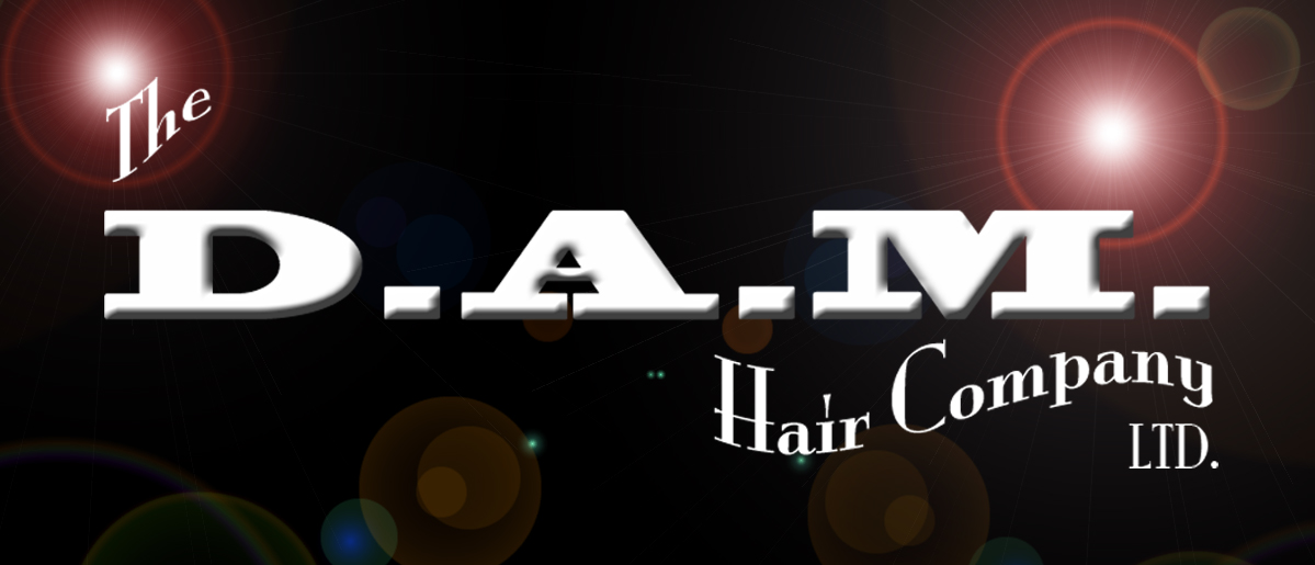 Logo The Dam Hair Company Ltd. logo